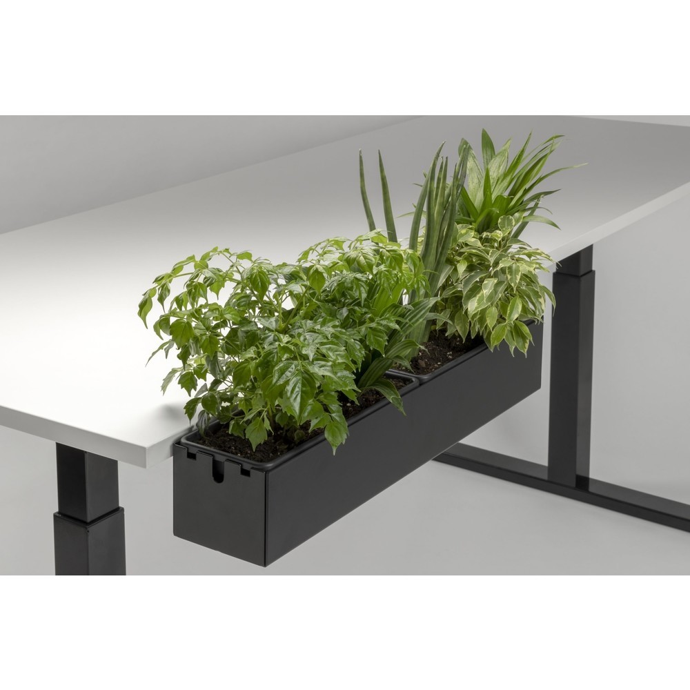 Produktabbildung Nr. 3: Actiforce Multibox L, weiß