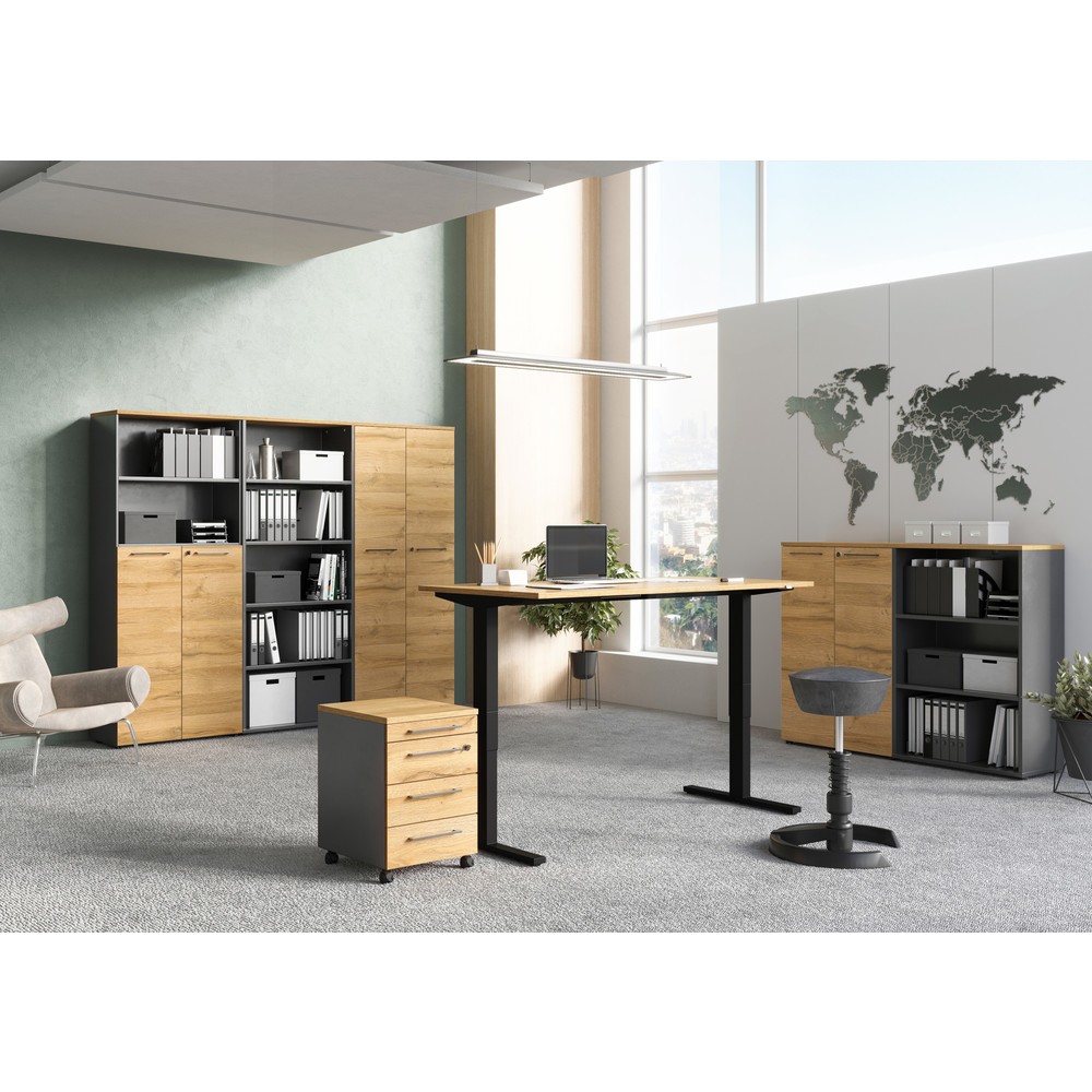 Produktabbildung Nr. 2: Aktenschrank AGENDA, geschlossen, 2 Flügeltüren, Höhe 1.200 mm, Breite 800 mm, Graphit/Grandson-Eiche-Nb.