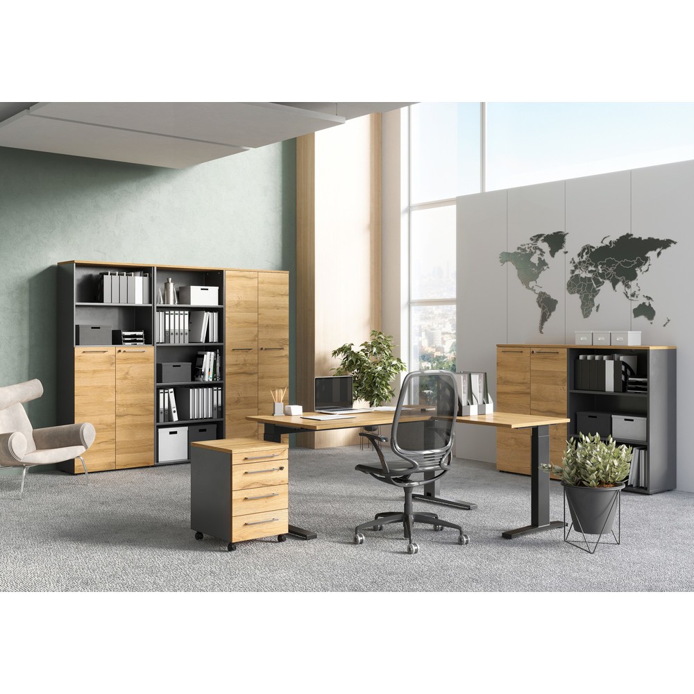 Produktabbildung Nr. 3: Aktenschrank AGENDA, geschlossen, 2 Flügeltüren, Höhe 1.200 mm, Breite 800 mm, Graphit/Grandson-Eiche-Nb.