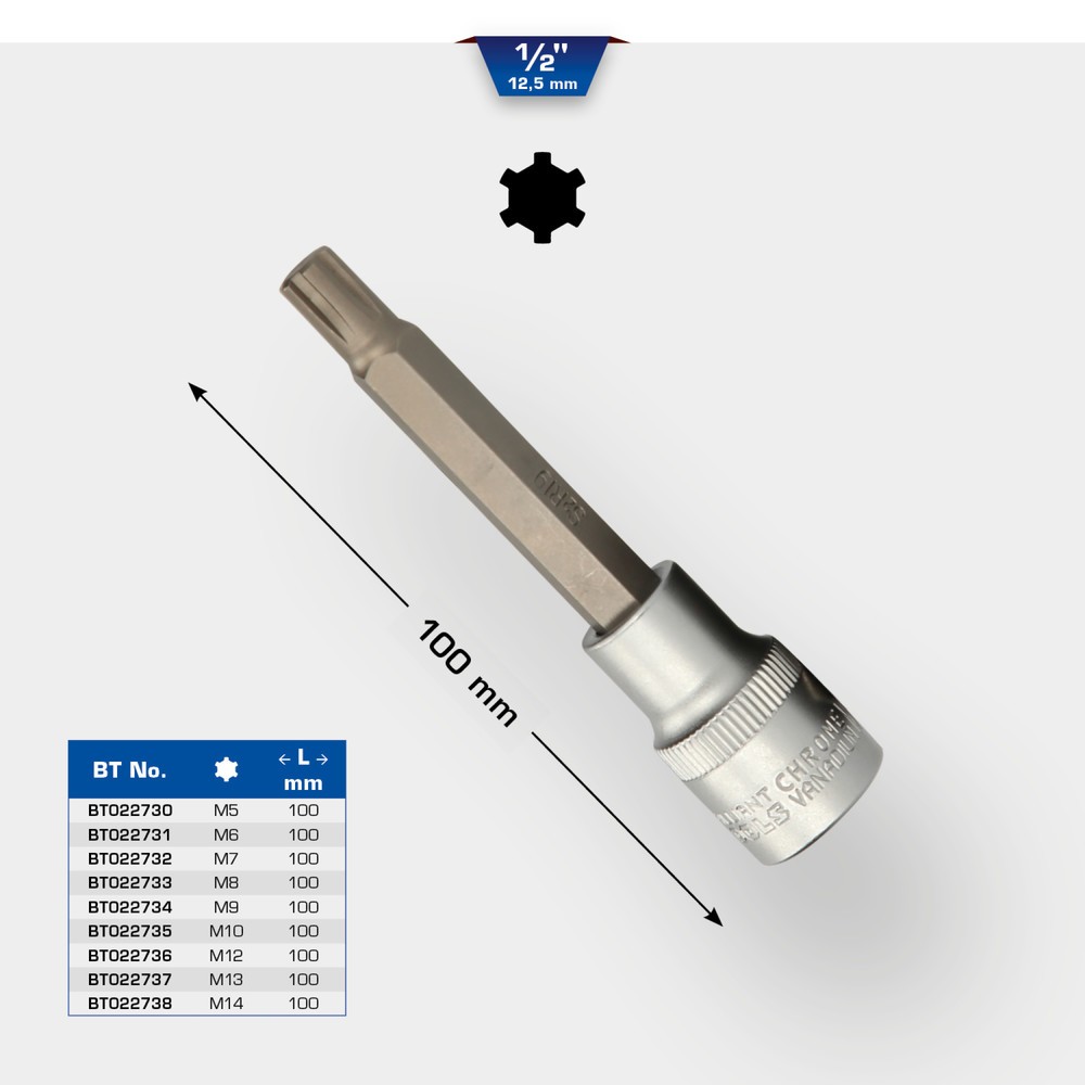Produktabbildung Nr. 11: BRILLIANT TOOLS 1/2" RIBE-Bit-Stecknuss, 100 mm lang, M14