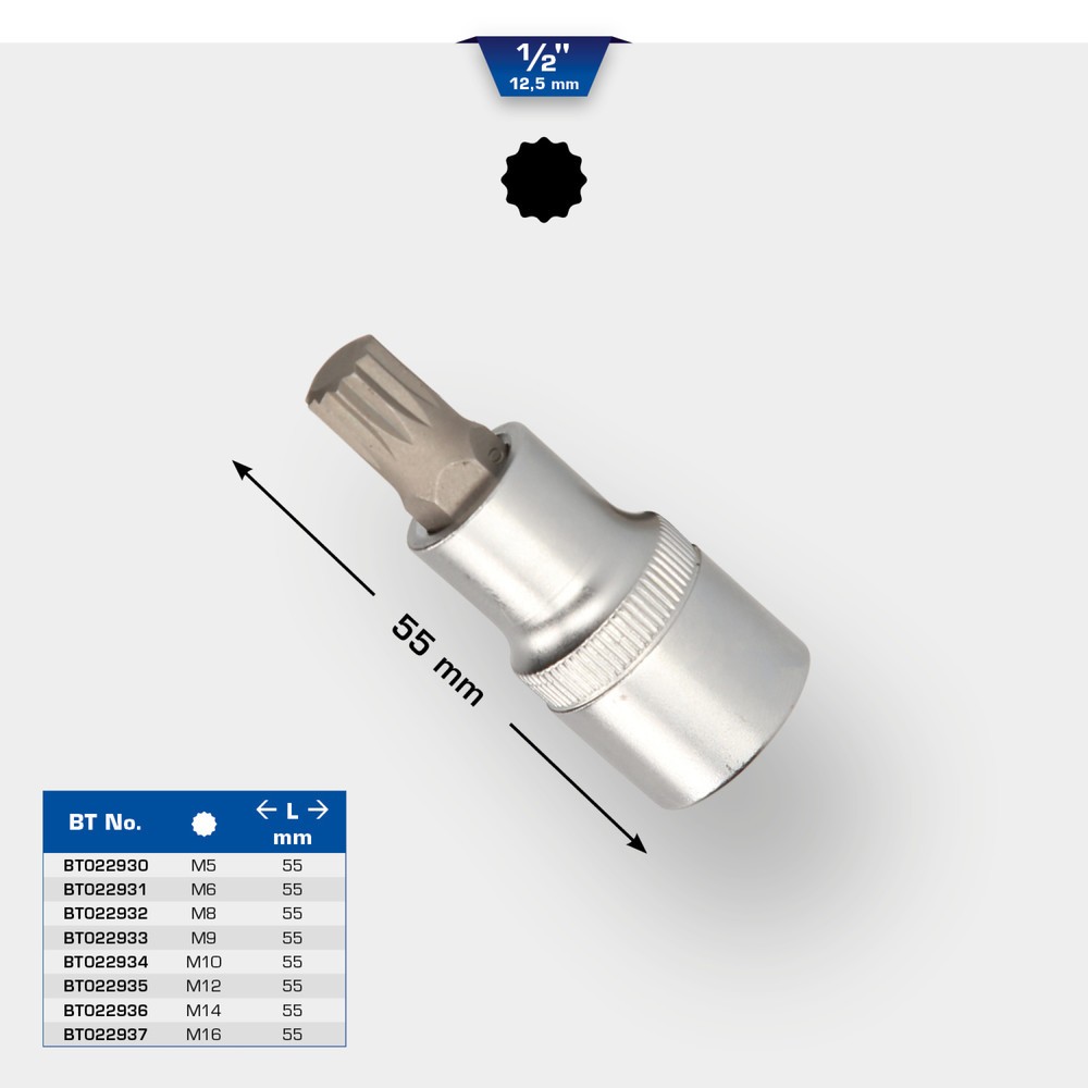 Produktabbildung Nr. 11: BRILLIANT TOOLS 1/2" Vielzahn-Bit-Stecknuss, 55 mm lang, M8