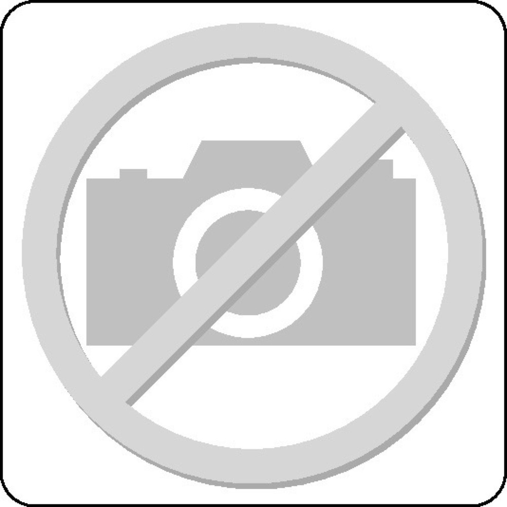Produktabbildung: MOLDEX®Partikelfilter P3 R + Ozon 903201, f. Serie 7000/9000, EN143:2000+A1:2006
