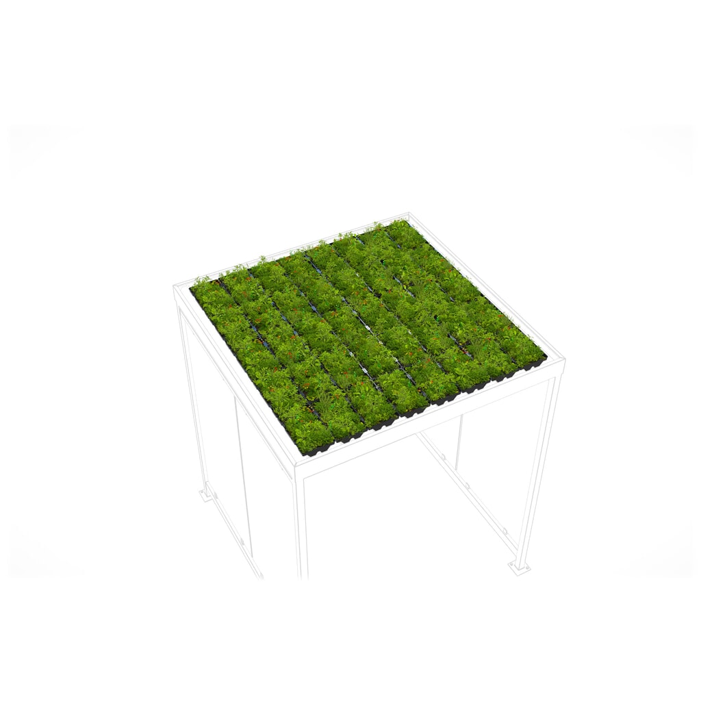 Produktabbildung: Dachbegrünung GREENPLUS Premium für wsm® Raucherunterstand, Montage im Werk, Premium Version, ca. 4 m²