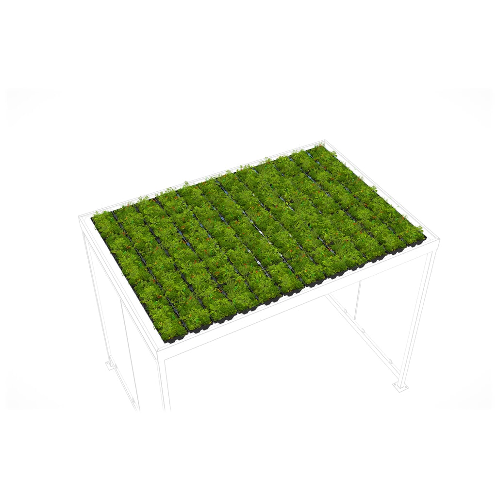 Dachbegrünung GREENPLUS Premium für wsm® Raucherunterstand, Montage im Werk, Premium Version, ca. 6 m² Produktabbildung: Dachbegrünung GREENPLUS Premium für wsm® Raucherunterstand, Montage im Werk, Premium Version, ca. 6 m²