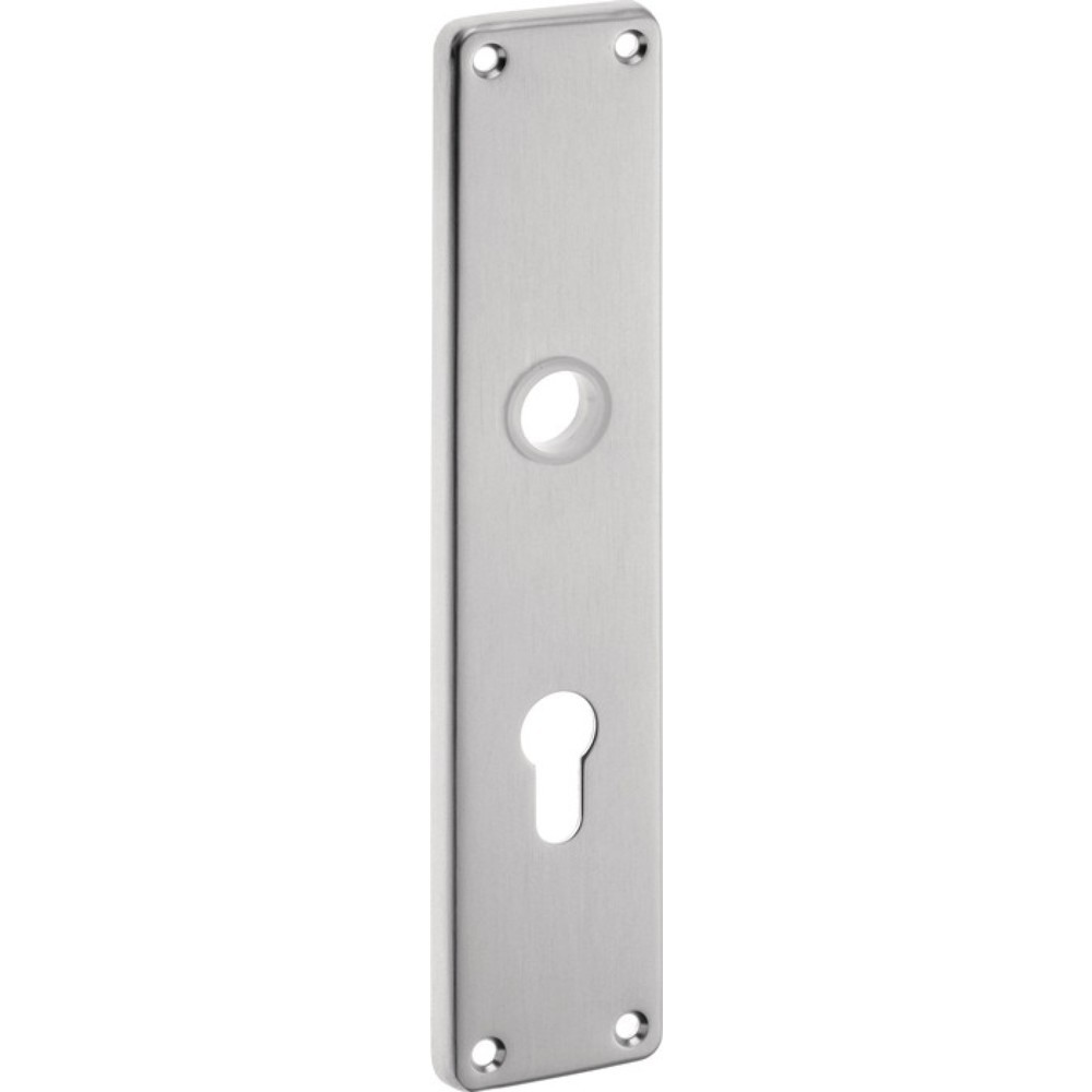 Produktabbildung: EDI Renovierschild 220 H, PZ, Edelstahl F00, Entfernung 92 mm