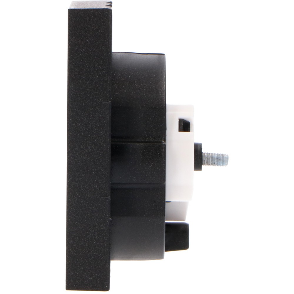Produktabbildung Nr. 4: Einlegeplatte 2x USB-A - 55x55mm - mattschwarz