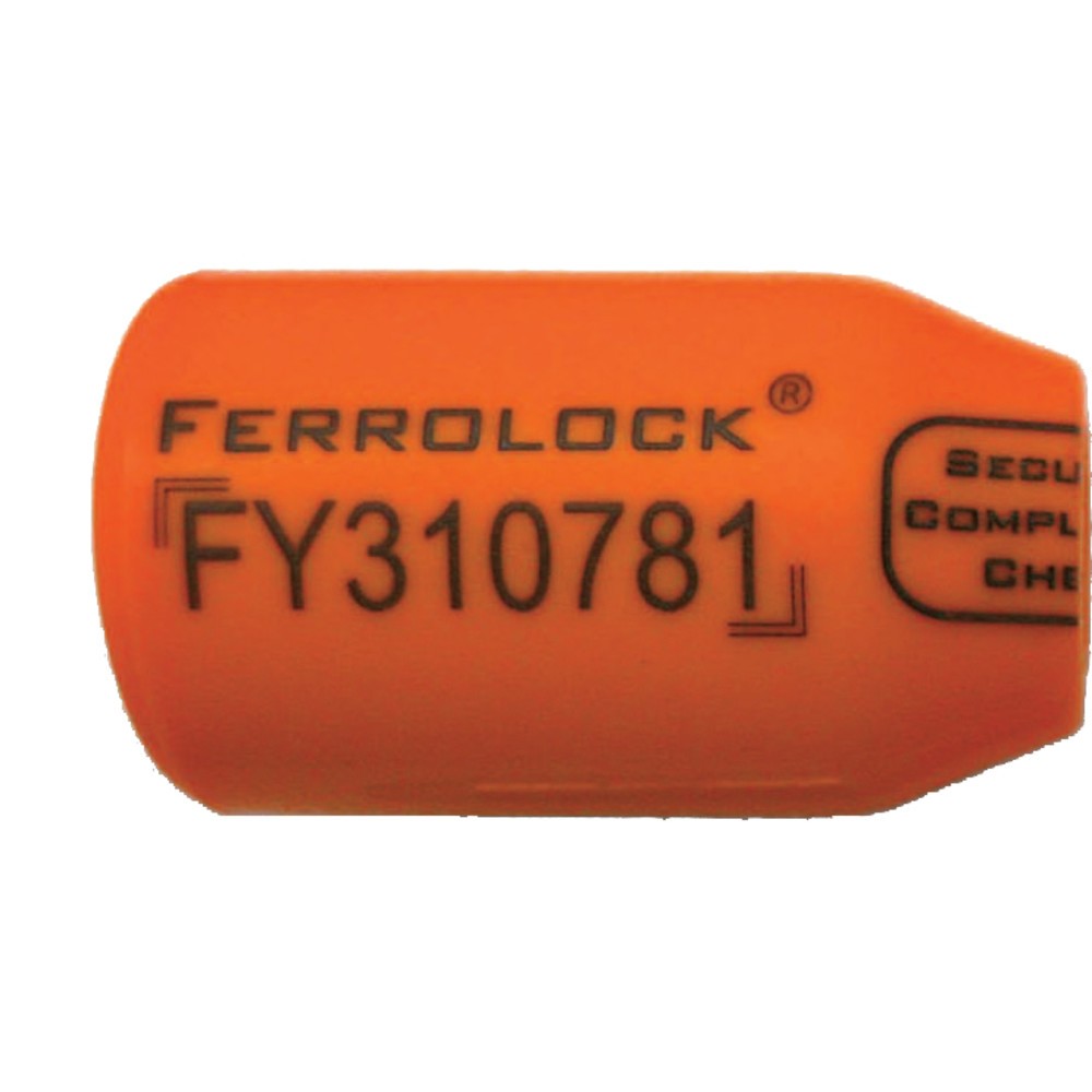 Produktabbildung Nr. 2: Einweg-Containerschloss Ferrolock® LP4