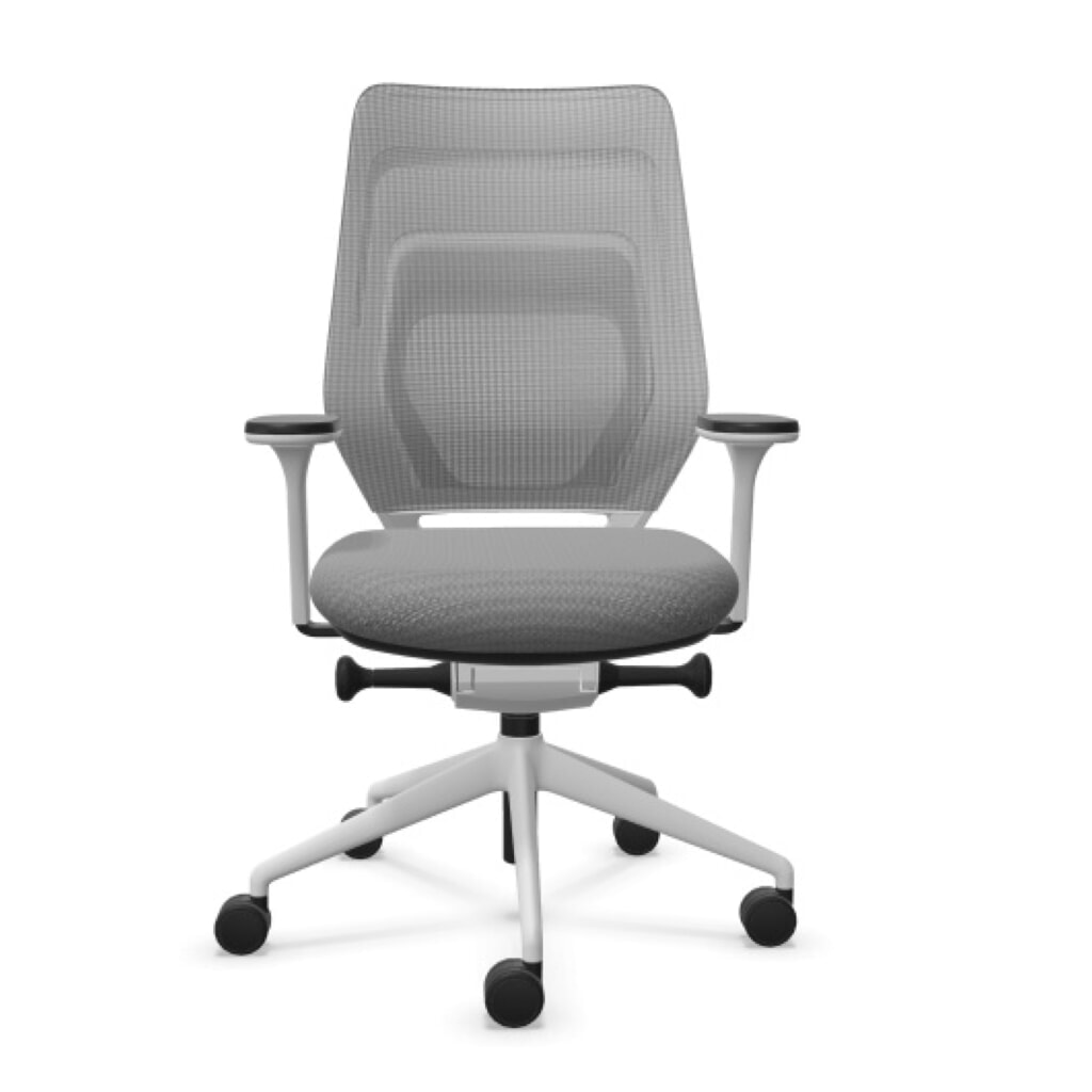 Produktabbildung: FM Büromöbel Schwerlast-Bürostuhl FM asiento, Synchronmechanik, 4D Armlehnen, Rückenlehne mit 3D-Strickgewebe, transparent bezogen, ohne Lordosenstütze, hellgrau