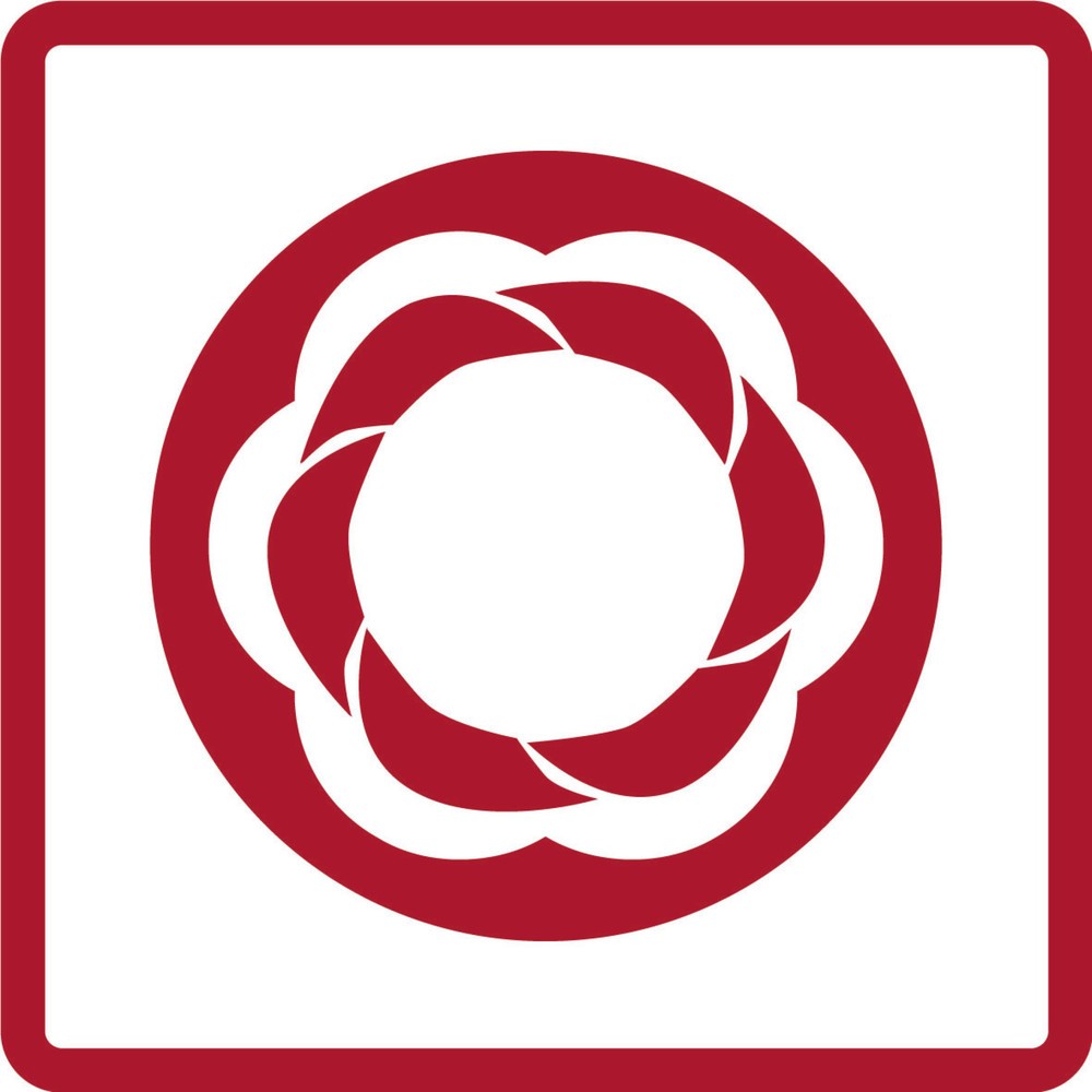 Produktabbildung Nr. 3: GEDORE red Spiralnutenausdreher 1/2 SW10-19mm 10tlg R68003010