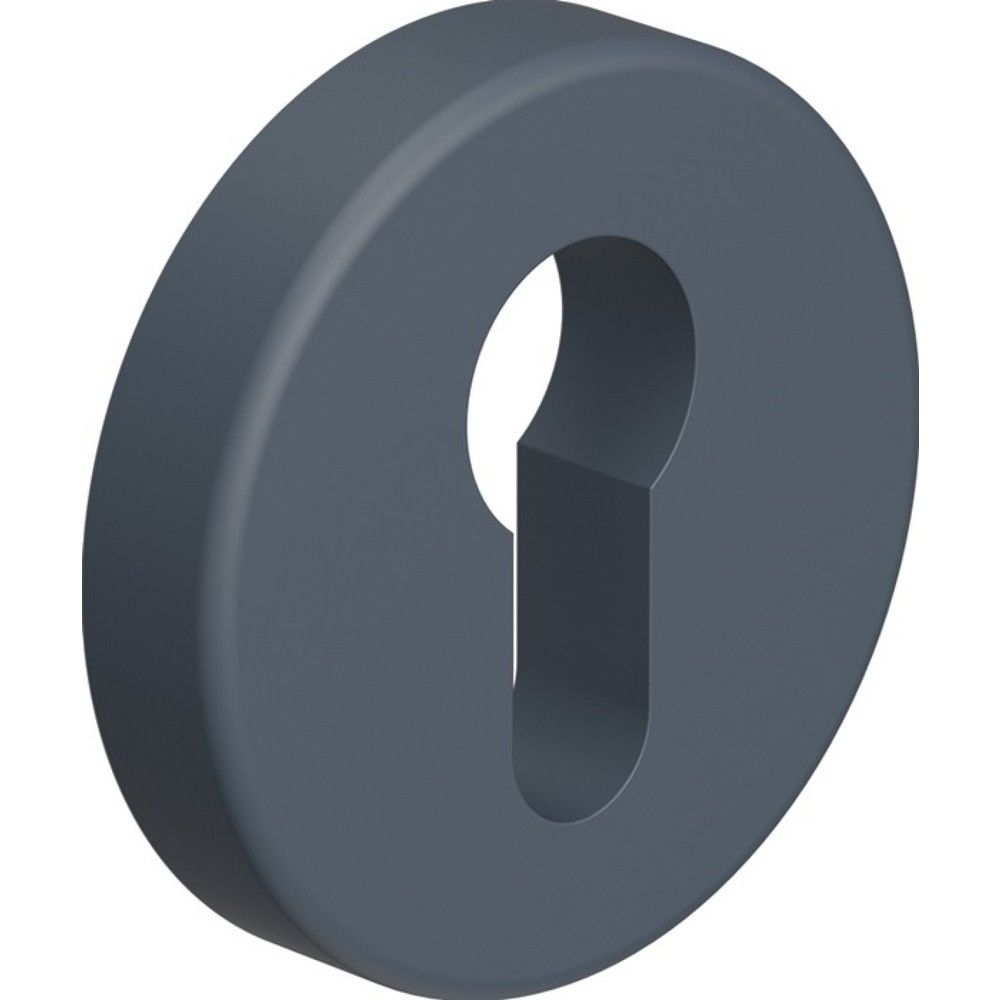 Produktabbildung: HEWI Schlüsselrosette 306.23PBKN 99, Schildstärke 10,5 mm PZ, Kunststoff 99, rund