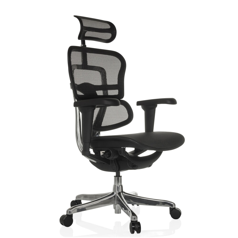 Produktabbildung Nr. 8: hjh OFFICE Chefsessel ERGOHUMAN ULTRA GEN2, Netzrückenlehne, Tragkraft 120 kg, Sitzhöhe 460 - 580 mm, schwarz
