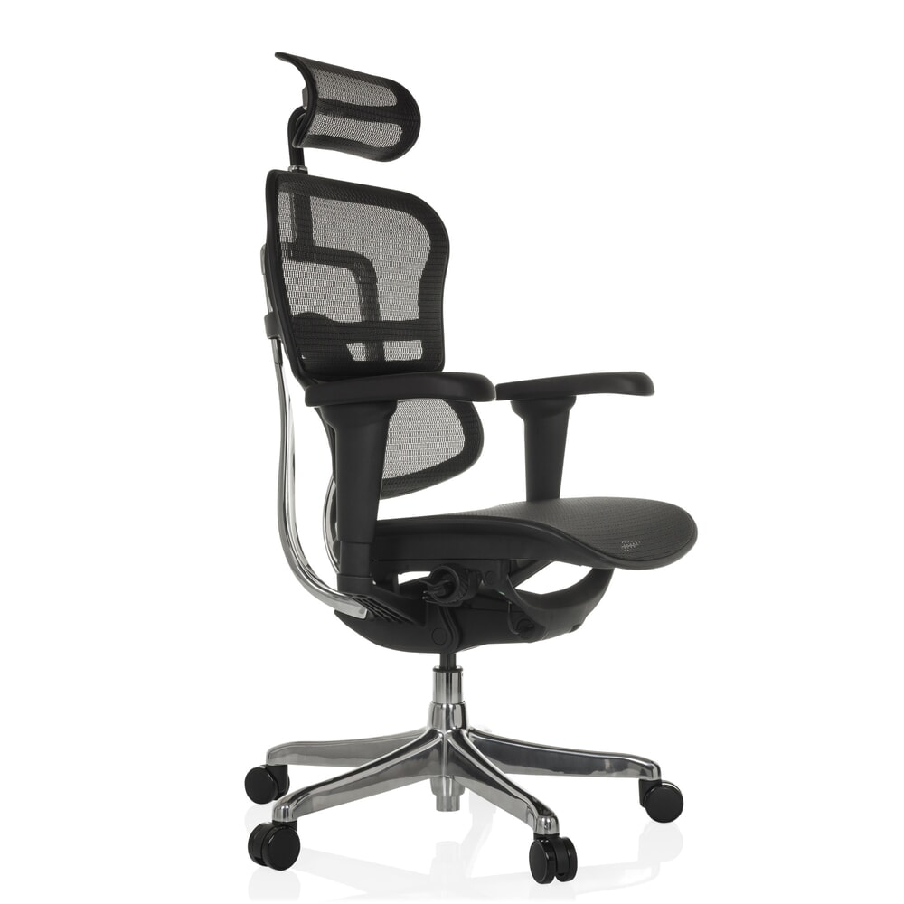 Produktabbildung Nr. 9: hjh OFFICE Chefsessel ERGOHUMAN ULTRA GEN2, Netzrückenlehne, Tragkraft 120 kg, Sitzhöhe 460 - 580 mm, schwarz