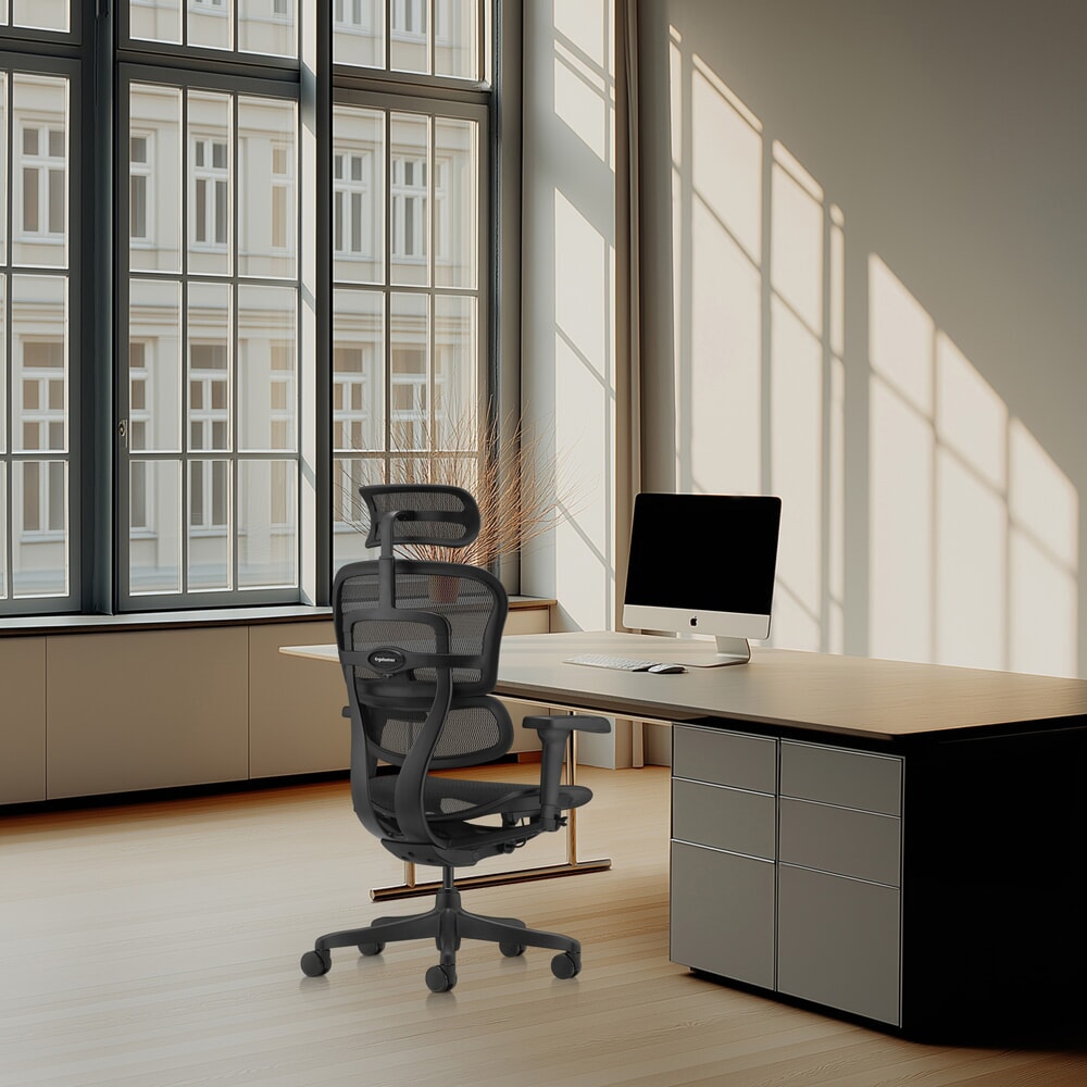 Produktabbildung Nr. 5: hjh OFFICE Chefsessel ERGOHUMAN SIGNATURE GEN2, Netzrückenlehne, Tragkraft 120 kg, Sitzhöhe 490 - 590 mm, schwarz