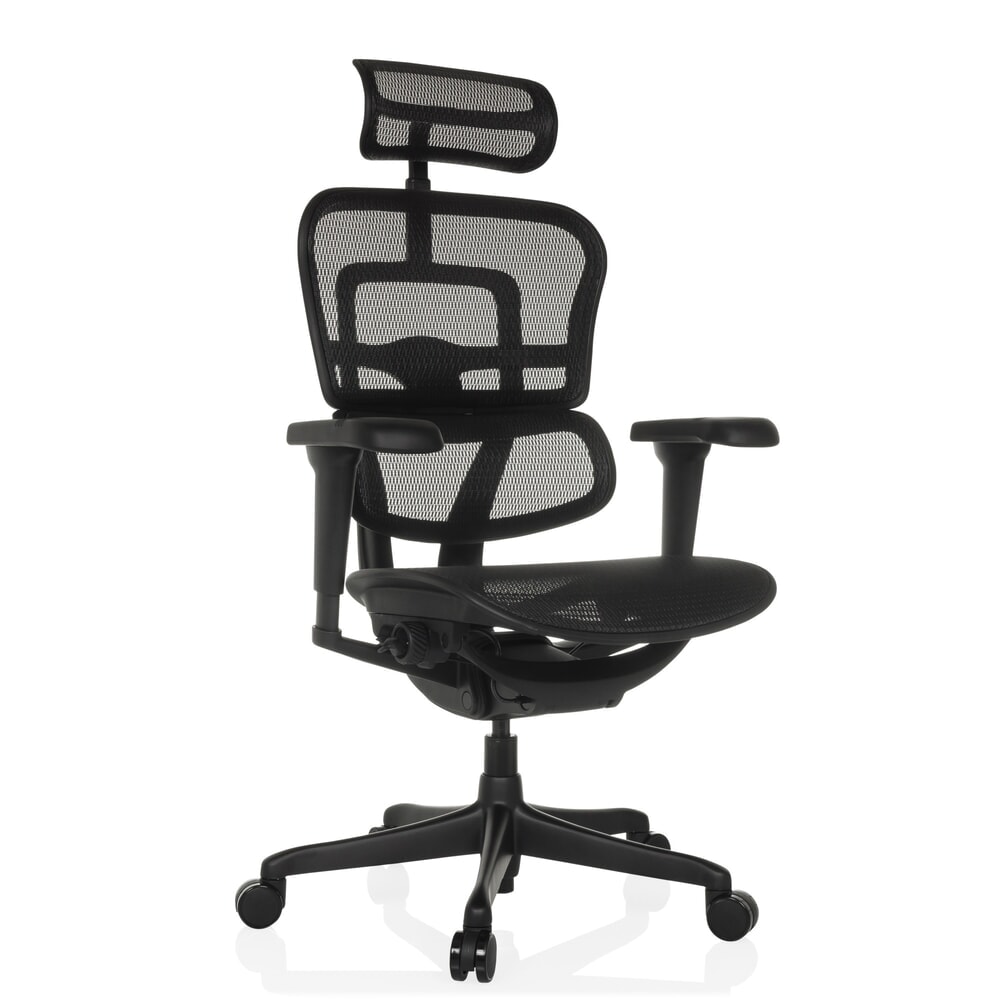 Produktabbildung Nr. 7: hjh OFFICE Chefsessel ERGOHUMAN SIGNATURE GEN2, Netzrückenlehne, Tragkraft 120 kg, Sitzhöhe 490 - 590 mm, schwarz
