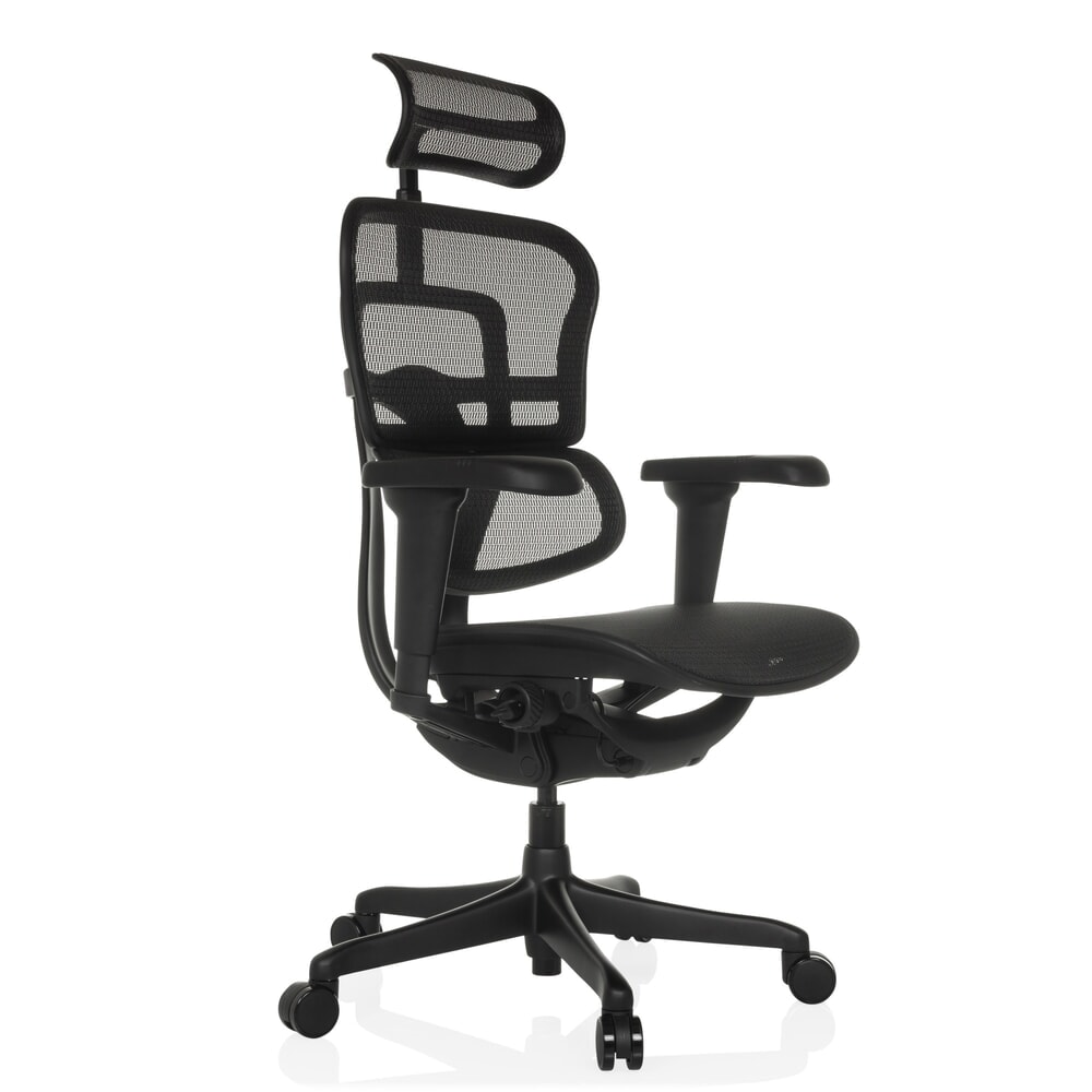 Produktabbildung Nr. 8: hjh OFFICE Chefsessel ERGOHUMAN SIGNATURE GEN2, Netzrückenlehne, Tragkraft 120 kg, Sitzhöhe 490 - 590 mm, schwarz