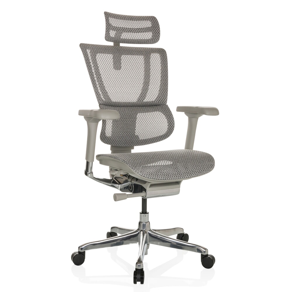 Produktabbildung Nr. 6: hjh OFFICE Chefsessel ERGOHUMAN SLIM G GEN2, mit flexibler Rückenlehne, Tragkraft 150 kg, hellgrau, Armlehne grau