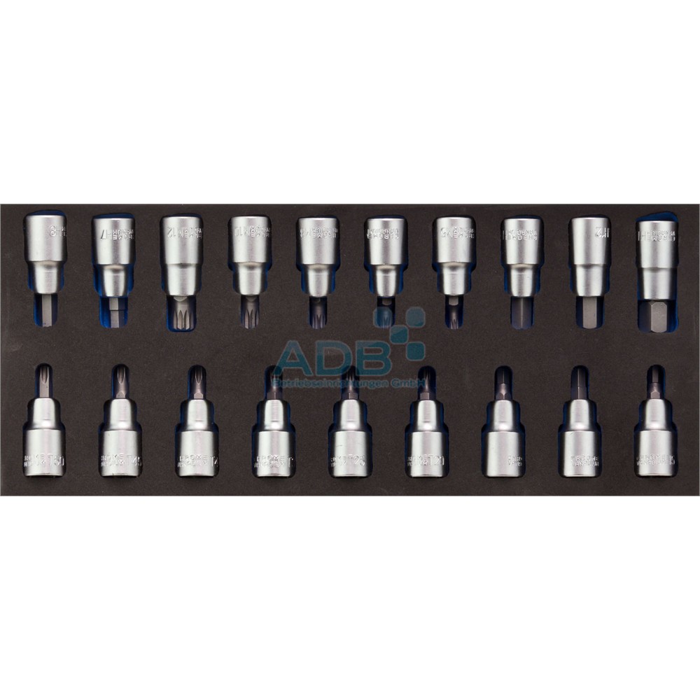 Produktabbildung Nr. 2: Innensechskant-/Innensechsrund-Set 1/2", 19-tlg., Schaumstoff-Modul