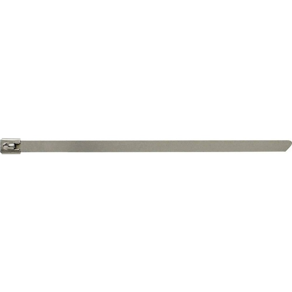 Produktabbildung: Kabelbinder L.520mm B.7,9mm VA 25St./Btl.