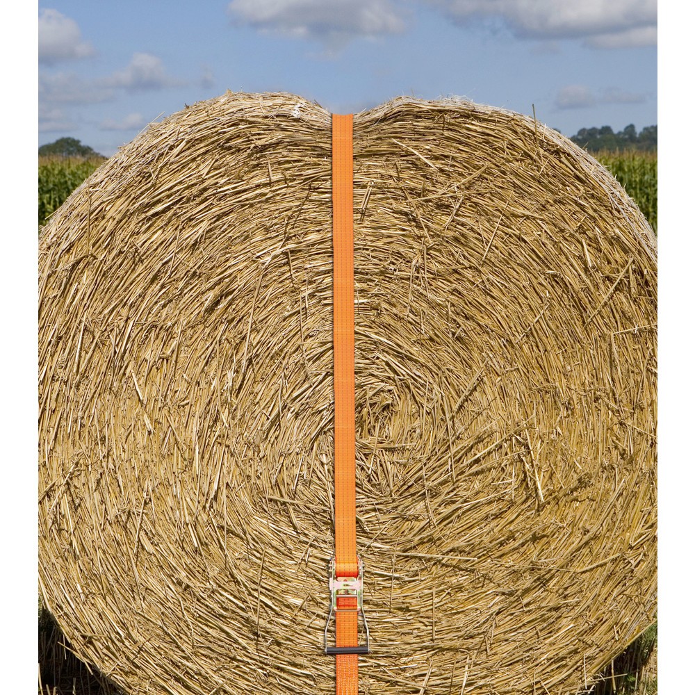 Produktabbildung Nr. 2: Kerbl Ratschenzurrgurt 2-tlg., orange, 50 mm / 6 m, 4.000 kg