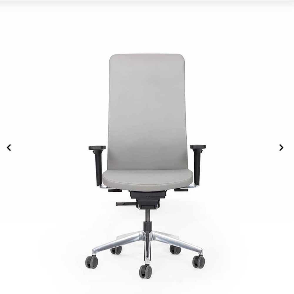 Produktabbildung: lento agilis matrix MT13 Bürostuhl, 100% Echtleder, hellgrauer Sitz, hellgraue Rückenlehne, Aluminium-Fußkreuz