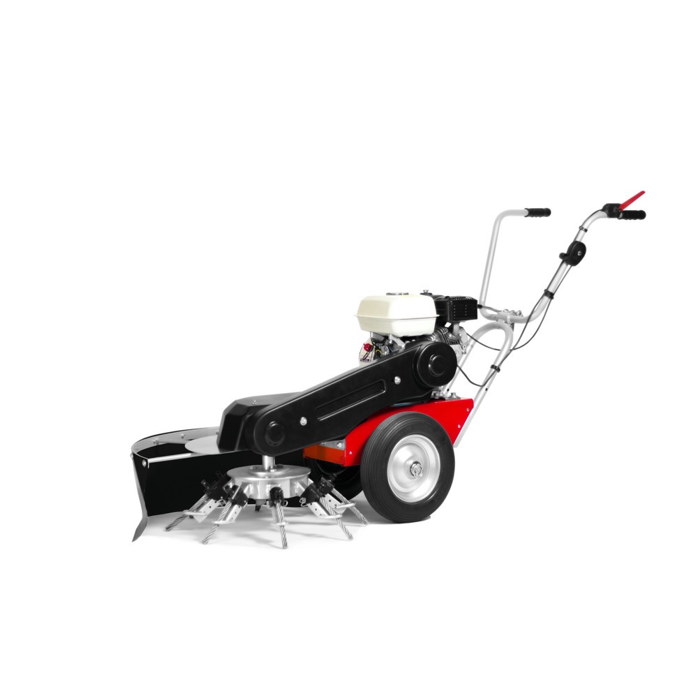 Produktabbildung: Limpar Wildkrautbürste Taifun II, Honda GP 160 OHV, Arbeitsbreite  650 mm