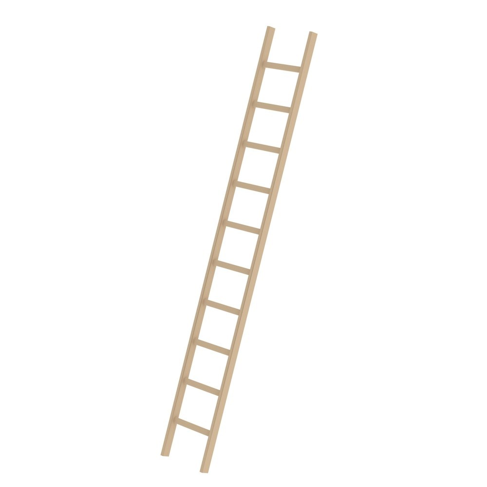 Produktabbildung Nr. 1: Munk Sprossen-Anlegeleiter Holz ohne Traverse 10 Sprossen