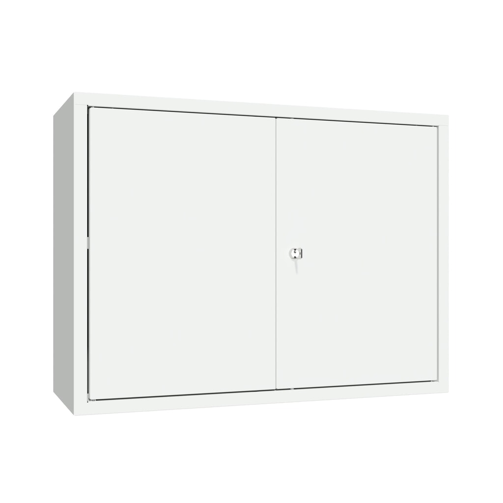 PAVOY Hängeschrank, HxBxT 600 x 800 x 300 mm, lichtgrau, lichtgrau Produktabbildung: PAVOY Hängeschrank, HxBxT 600 x 800 x 300 mm, lichtgrau, lichtgrau