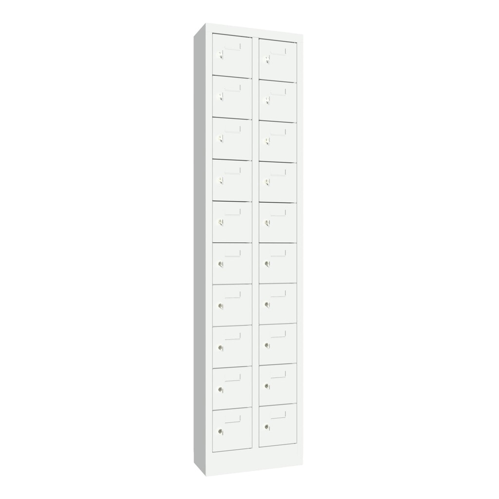 Produktabbildung: PAVOY Kleinfachschrank, 20 Fächer, HxBxT 1.950 x 460 x 200 mm, mit Etikettenrahmen, lichtgrau, lichtgrau