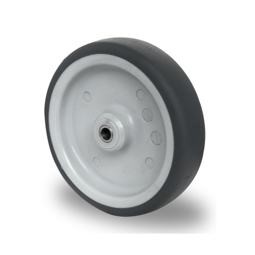 Produktabbildung: Rad ø 100 mm Serie P2W2 Gleitlager Edelstahl