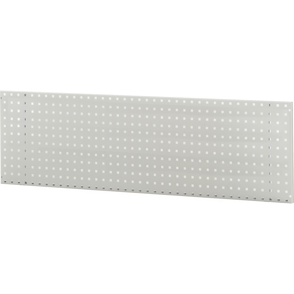 Produktabbildung: RAU Lochplatte zur Wandmontage, HxBxT 450 x 1.000 x 15 mm
