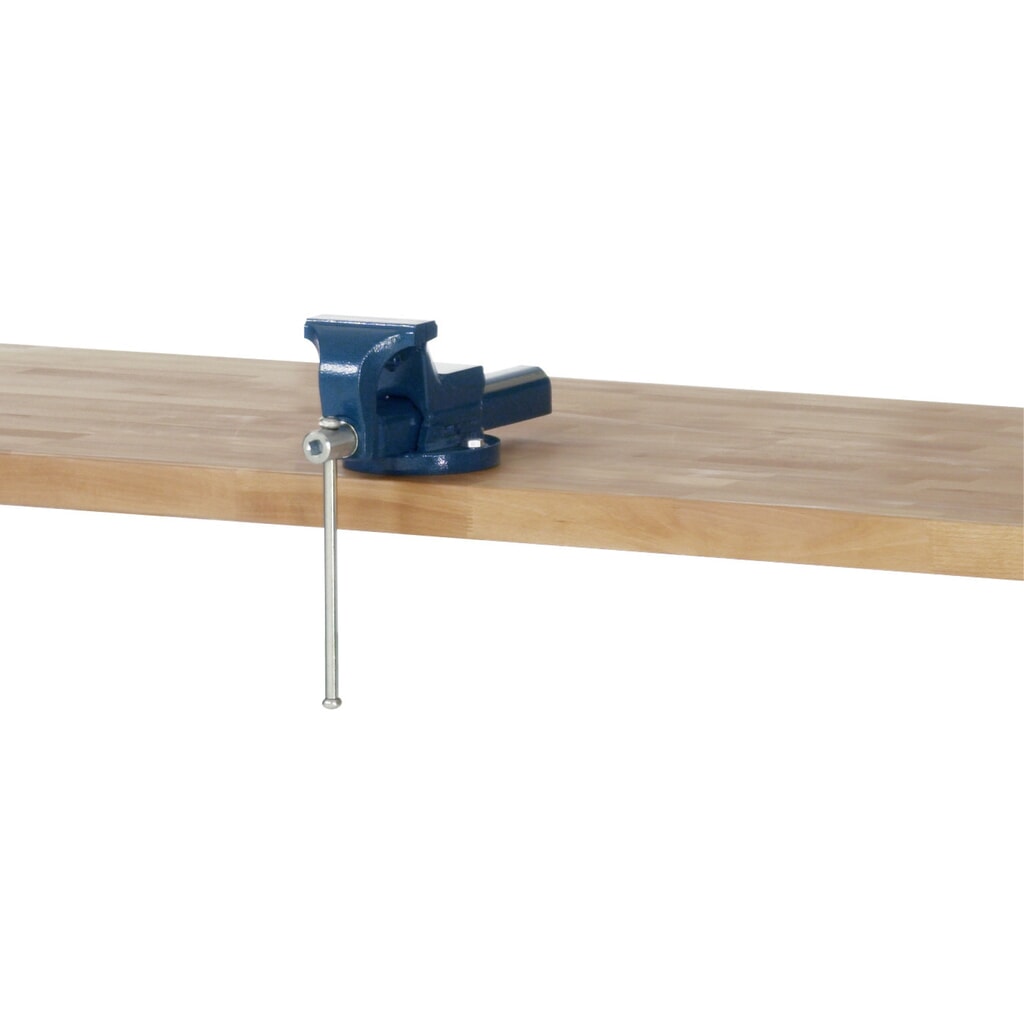 RAU Schraubstock, Backenbreite 120 mm Produktabbildung: RAU Schraubstock, Backenbreite 120 mm