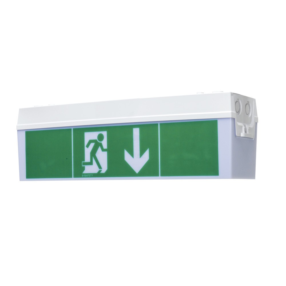 Produktabbildung: B-Safety Rettungsleuchte Basic, Wand- und Deckenmontage, Schutzklasse II, IP 54
