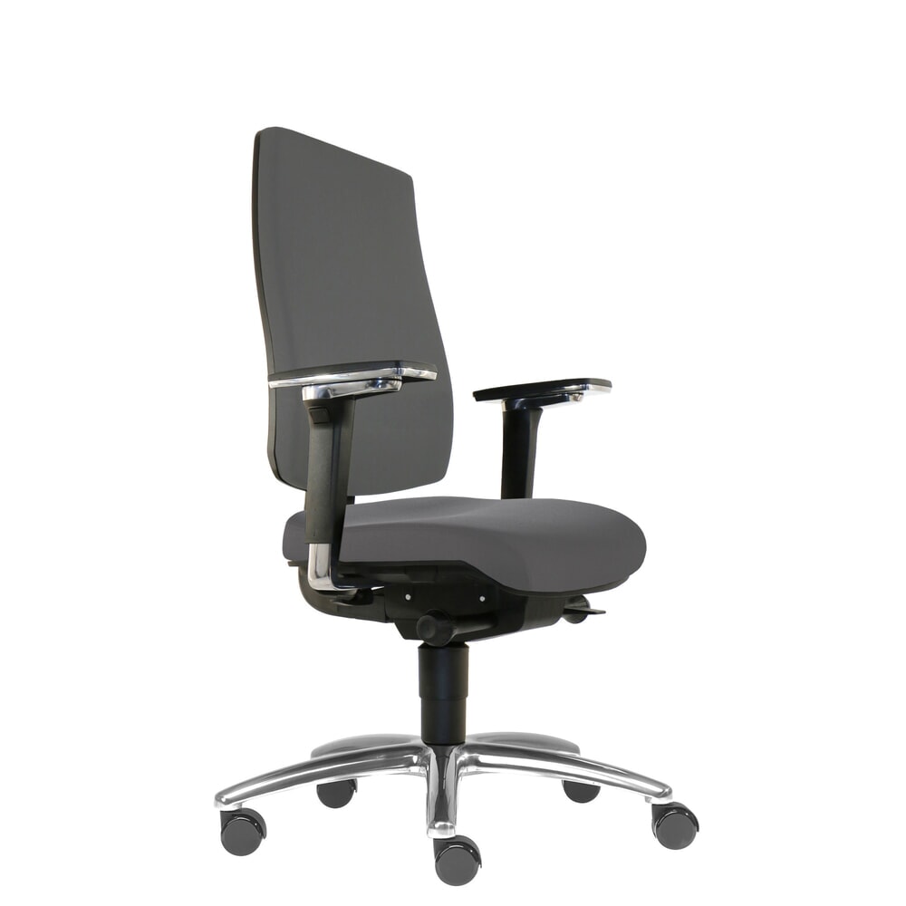 Produktabbildung: SITWELL STEIFENSAND Bandscheiben-Bürostuhl Cebra, vollflächige Kunststoff-Rückenschale, Universalrollen, Polyester, dunkelgrau
