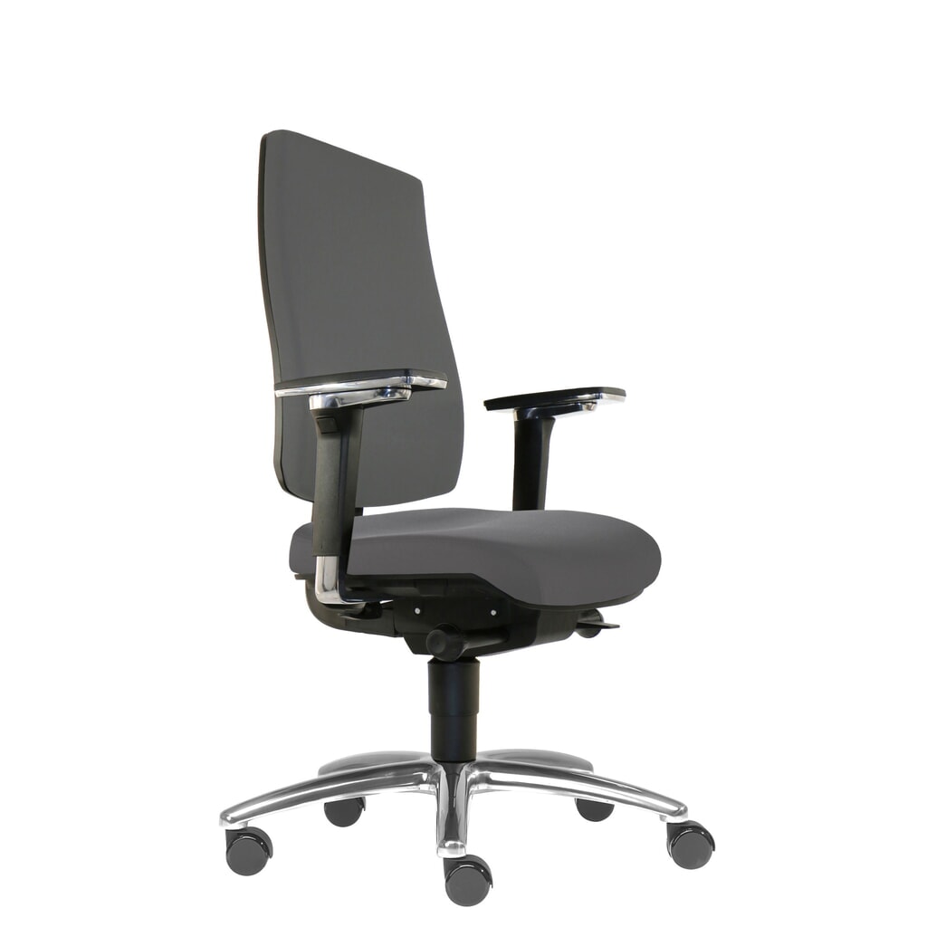 Produktabbildung: SITWELL STEIFENSAND Bandscheiben-Bürostuhl Cebra, vollflächige Kunststoff-Rückenschale, Universalrollen, Polyester, dunkelgrau