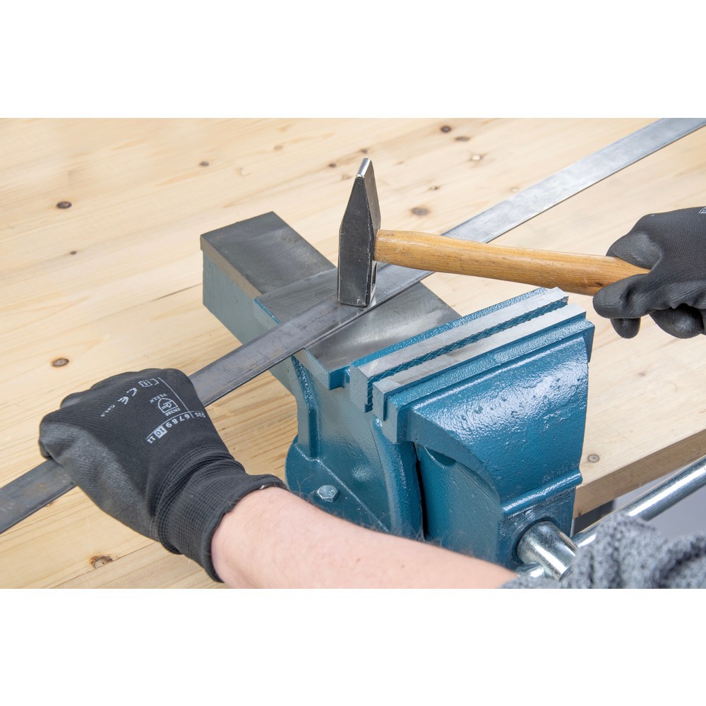 Produktabbildung Nr. 8: Steinbock® Schraubstock, feststehend, aus robustem Gusseisen, Backenbreite 125 mm