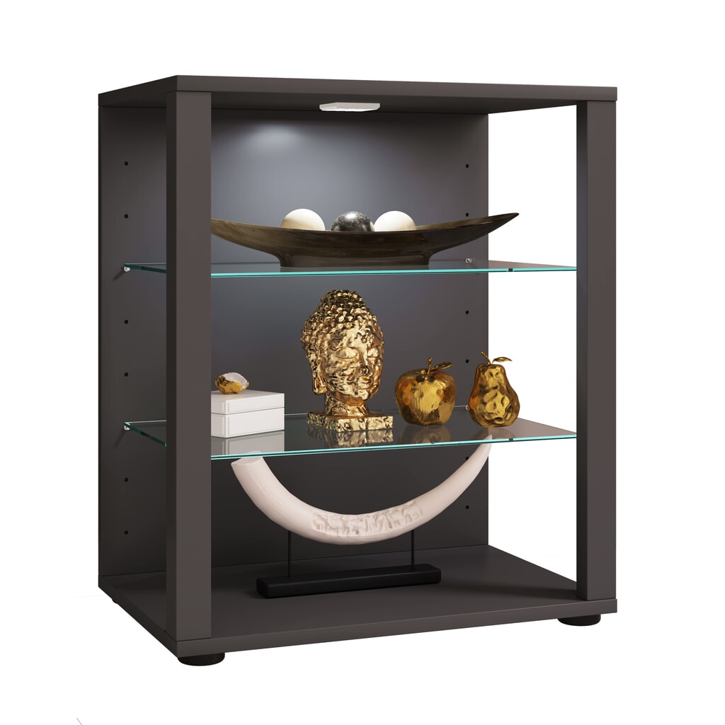 Produktabbildung: VCM Vitrine Glasol S, anthrazit