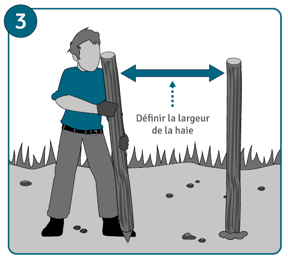 Etape 3 : définir la largeur et la profondeur de la haie de Benjes