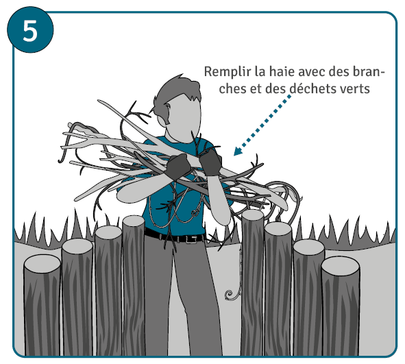Etape 5 : remplir la haie de Benjes avec des déchets verts et des branches