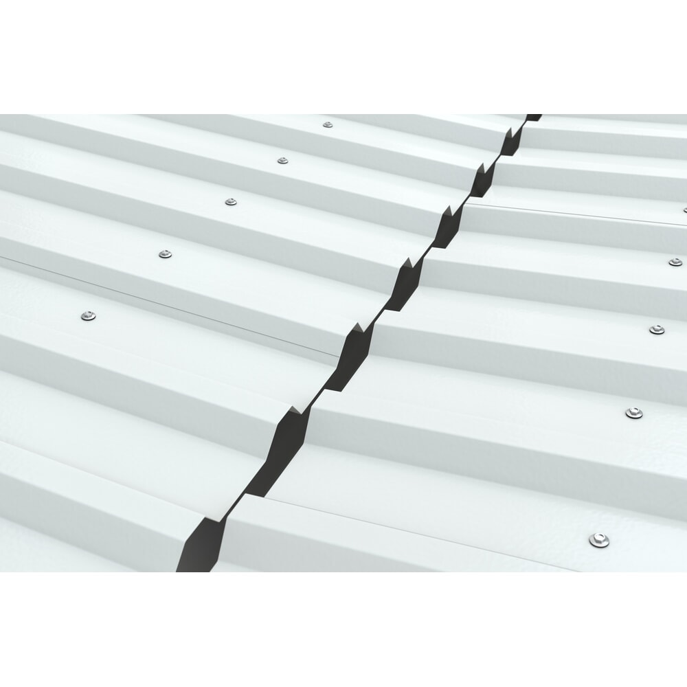 Produktabbildung Nr. 3: wsm® Überdachung, 2-seitig, AF, Breite 4.300 mm